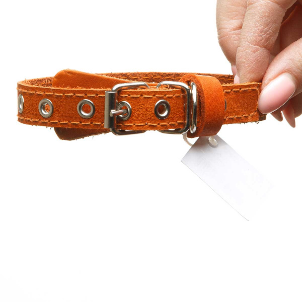 Ошейник кожаный одинарный безразмерный ширина 15 мм 35 см