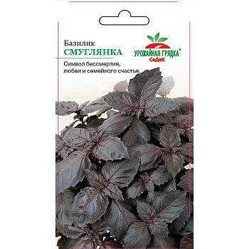 Базилик Смуглянка Седек Ц