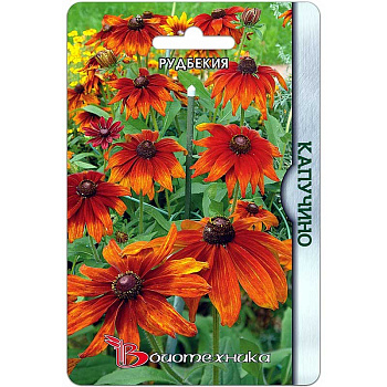 Рудбекия Капучино Биотехника Ц 