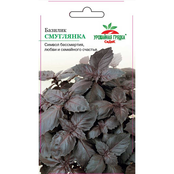 Базилик Смуглянка Седек Ц