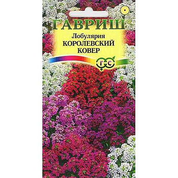 Лобулярия Королевский ковер Гавриш Ц 