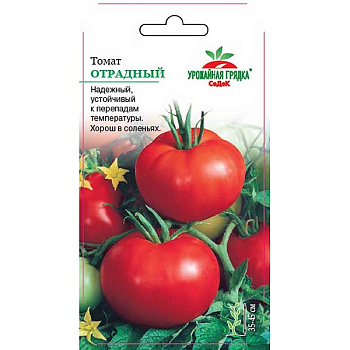 Семена Томат Отрадный Седек