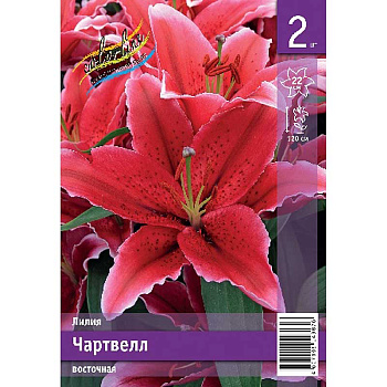 Лилия Чартвелл 12/14 2 Эконом шт 