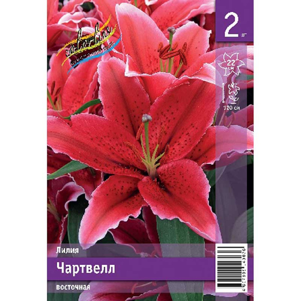Лилия Чартвелл 12/14 2 Эконом шт 