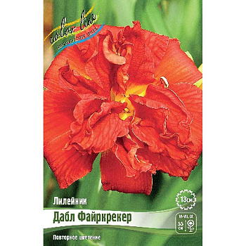 Лилейник Дабл Файркрекер I 1 шт