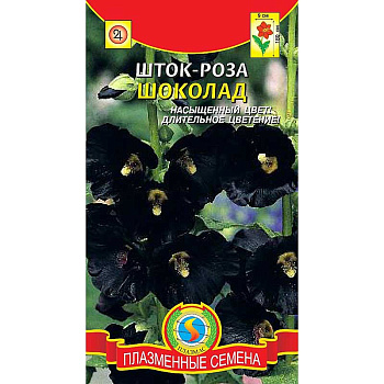Шток-роза Шоколад Плазма Ц 