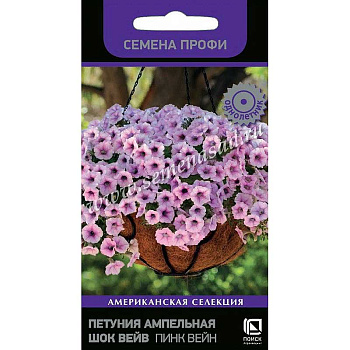 Петуния Шок Вейв Пинк Вейн Поиск Ц 