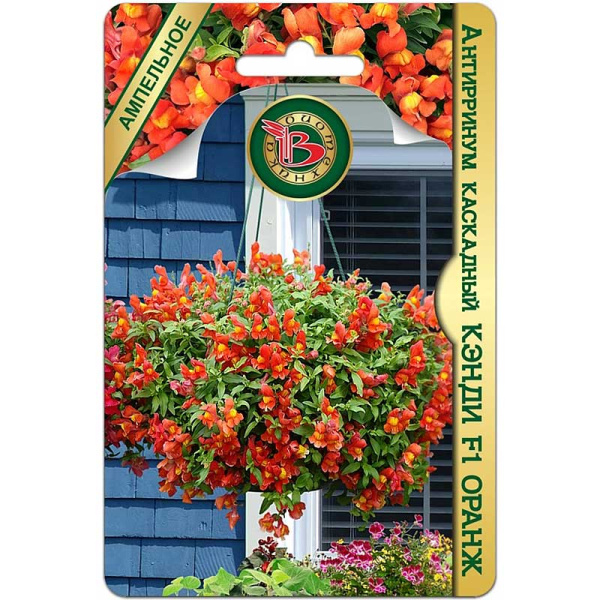 Антирринум Кэнди Оранж Биотехника Ц 