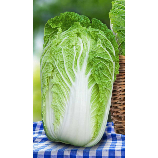 Капуста пекинская Нежность F1 0,3гр Садовита Ц