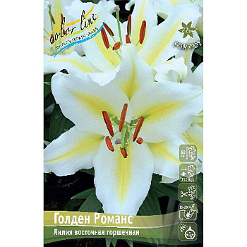 Лилия Голден Романс 13/14 25 шт Биг-пак 11178 