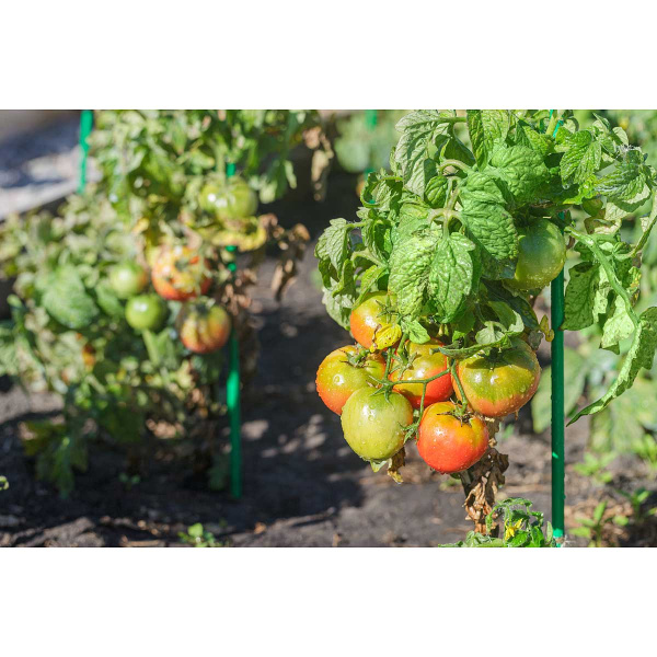 Колышки 1,15м труба 10мм САДОВИТА (комплект 10шт)