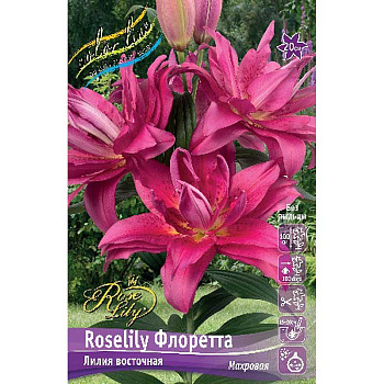 Лилия Roselily Флоретта 12/14 25 шт Биг-пак 2701 