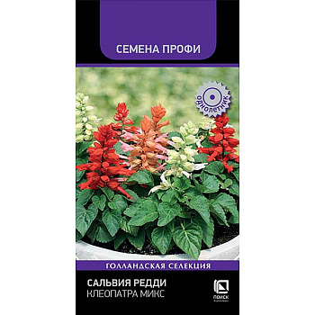 Сальвия Редди Клеопатра Поиск Ц 