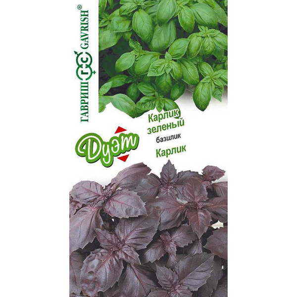 Базилик Дуэт Карлик+Карлик зеленый Гавриш Ц