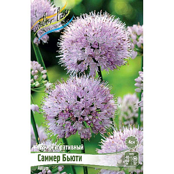 Лук Декоративный Саммер Бьюти I 1 шт 