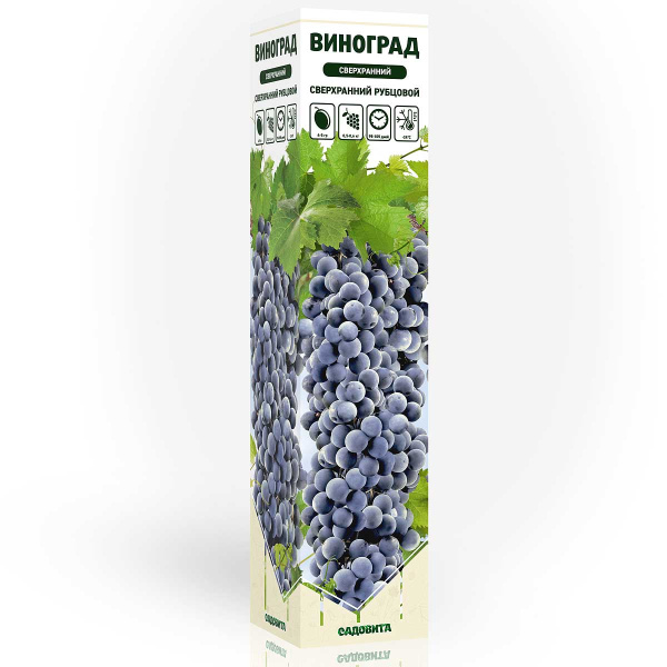 Виноград Сверхранний Рубцовой (3-10-48) сверхранний Садовита