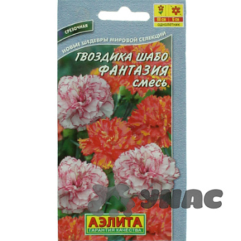Гвоздика Шабо Пикоти Фантазия Аэлита Ц 