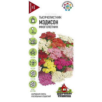 Тысячелистник Мэдисон Уд сем Гавриш Ц 