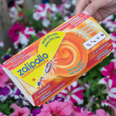 Ловушка для тараканов и муравьев ZALIPALLO домик 5 шт х20