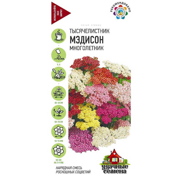 Тысячелистник Мэдисон Уд сем Гавриш Ц 