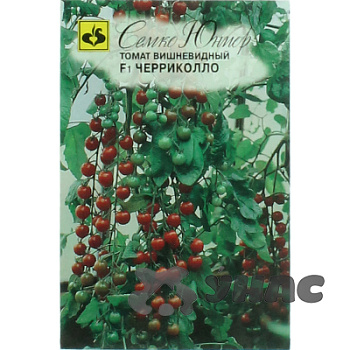 Семена Томат Чериколло Семко