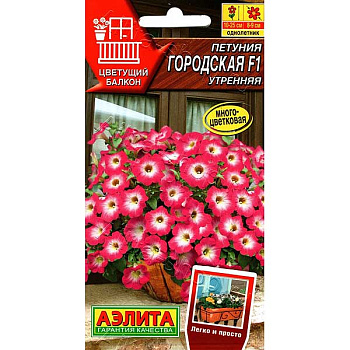 Петуния Городская утренняя Аэлита Ц 