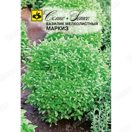 Базилик Маркиз зеленый Семко Ц