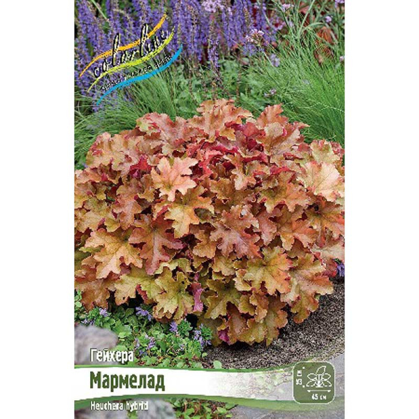 Гейхера Мармелад I 25 шт Биг-Пак 14584