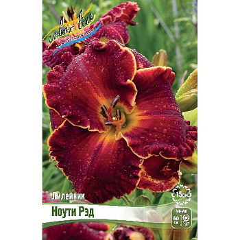 Лилейник Ноути Рэд I 25 шт Биг-пак 5974