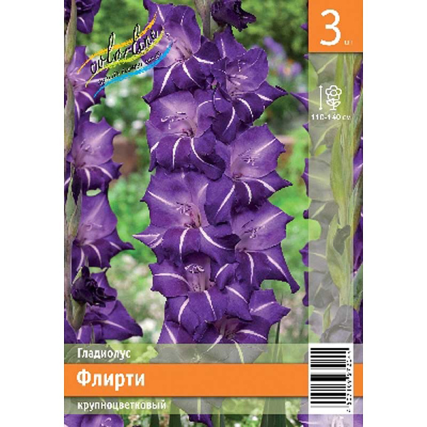 Гладиолус Флирти 10/12 3 Эконом шт 
