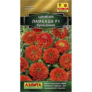 Циния Ламбада бронзовая Аэлита Цх10 