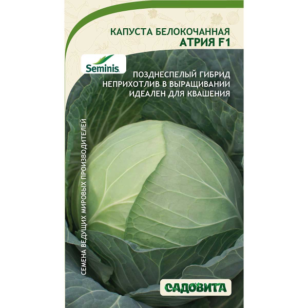 Капуста Атрия белокочанная F1 10 шт Seminis/Садовита Ц
