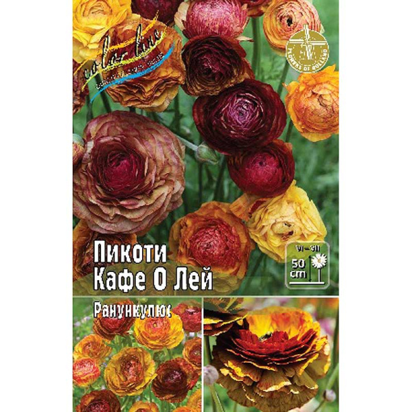 Ранункулюс Пикоти Кафе О Лей 4/5 200 шт Шоу-Бокс 9212