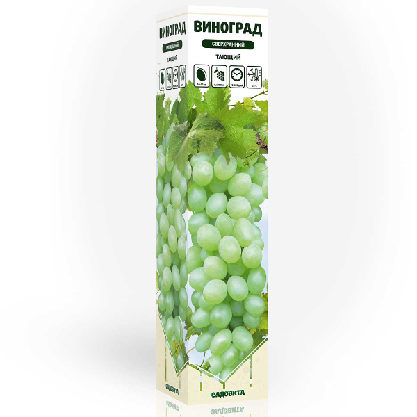 Виноград Тающий сверхранний Садовита