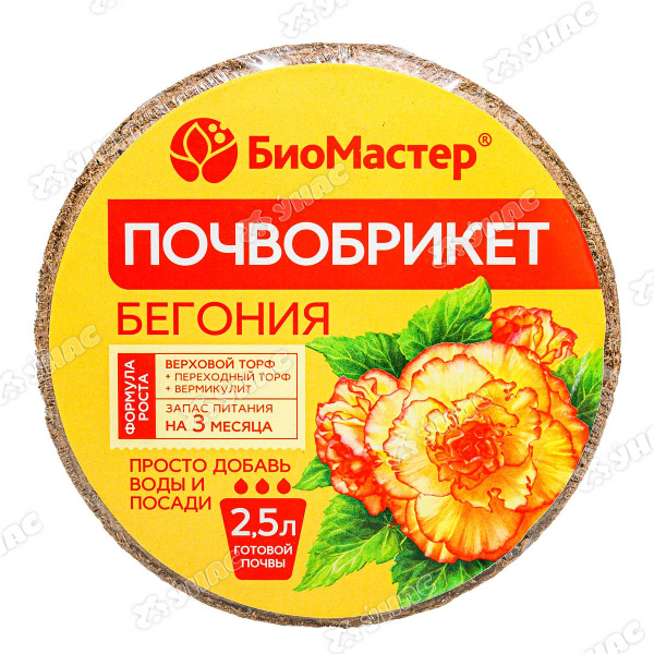 Почвобрикет Бегония 2,5л БиоМастер х33 