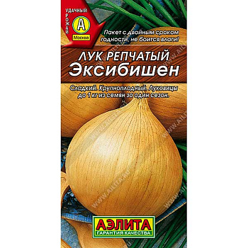 Лук Эксибишен Аэлита Ц