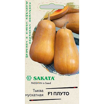 Тыква Плуто Гавриш Ц