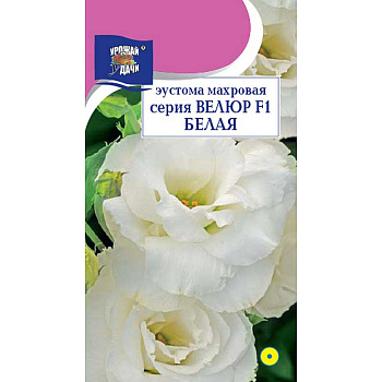Эустома Велюр Белая махр Урожай у дачи Ц 