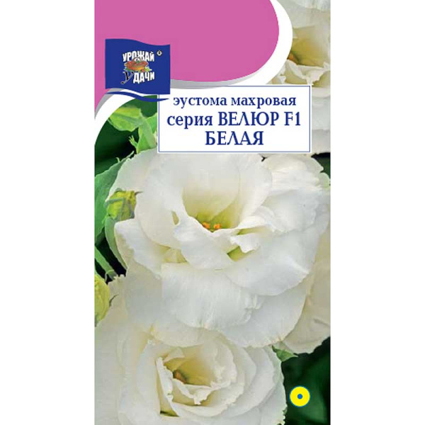 Эустома Велюр Белая махр Урожай у дачи Ц 
