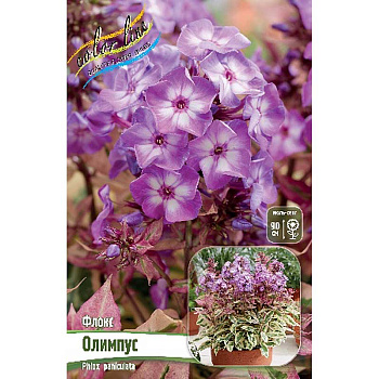 Флокс Олимпус I 25 шт Биг-Пак 4580 