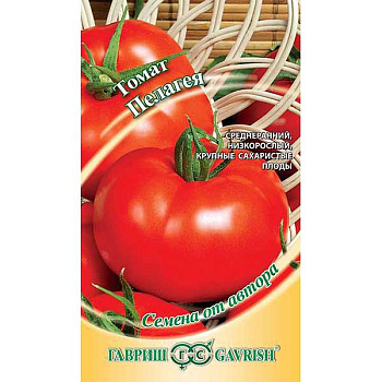 Семена Томат Пелагея Гавриш