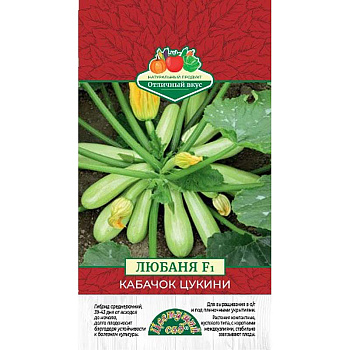 Кабачок Любаня ЦветСад Ц
