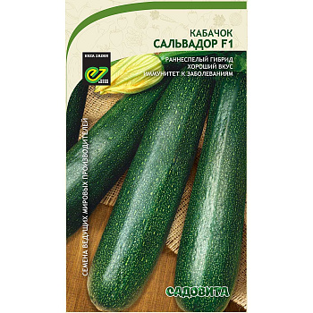 Кабачок Сальвадор F1 5шт Enza Zaden/Садовита Ц