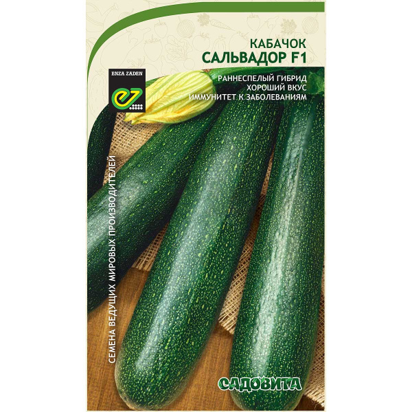 Кабачок Сальвадор F1 5шт Enza Zaden/Садовита Ц