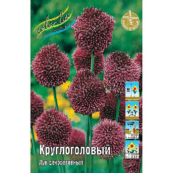 Лук Декор. Круглоголовый 5/6 15 шт 