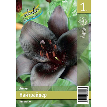 Лилия Найтрайдер 12/14 1 Эконом шт