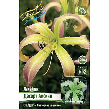 Лилейник Десерт Айсикл I 1 шт 