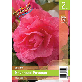 Бегония Махровая Розовая 4/5 2 Эконом шт