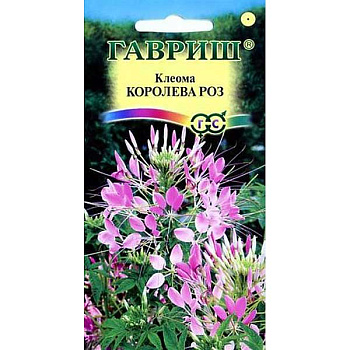 Клеома Королева Роз Гавриш Ц 