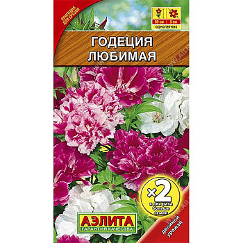 Годеция Любимая махр. х2-гр Аэлита Ц 